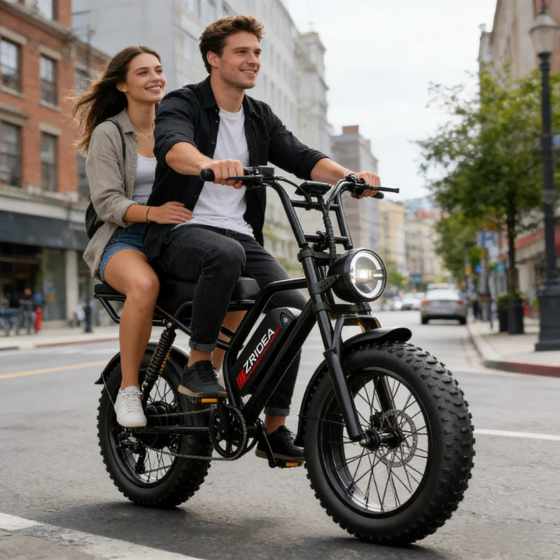 14 Inch Explorer King Mountain Ebike