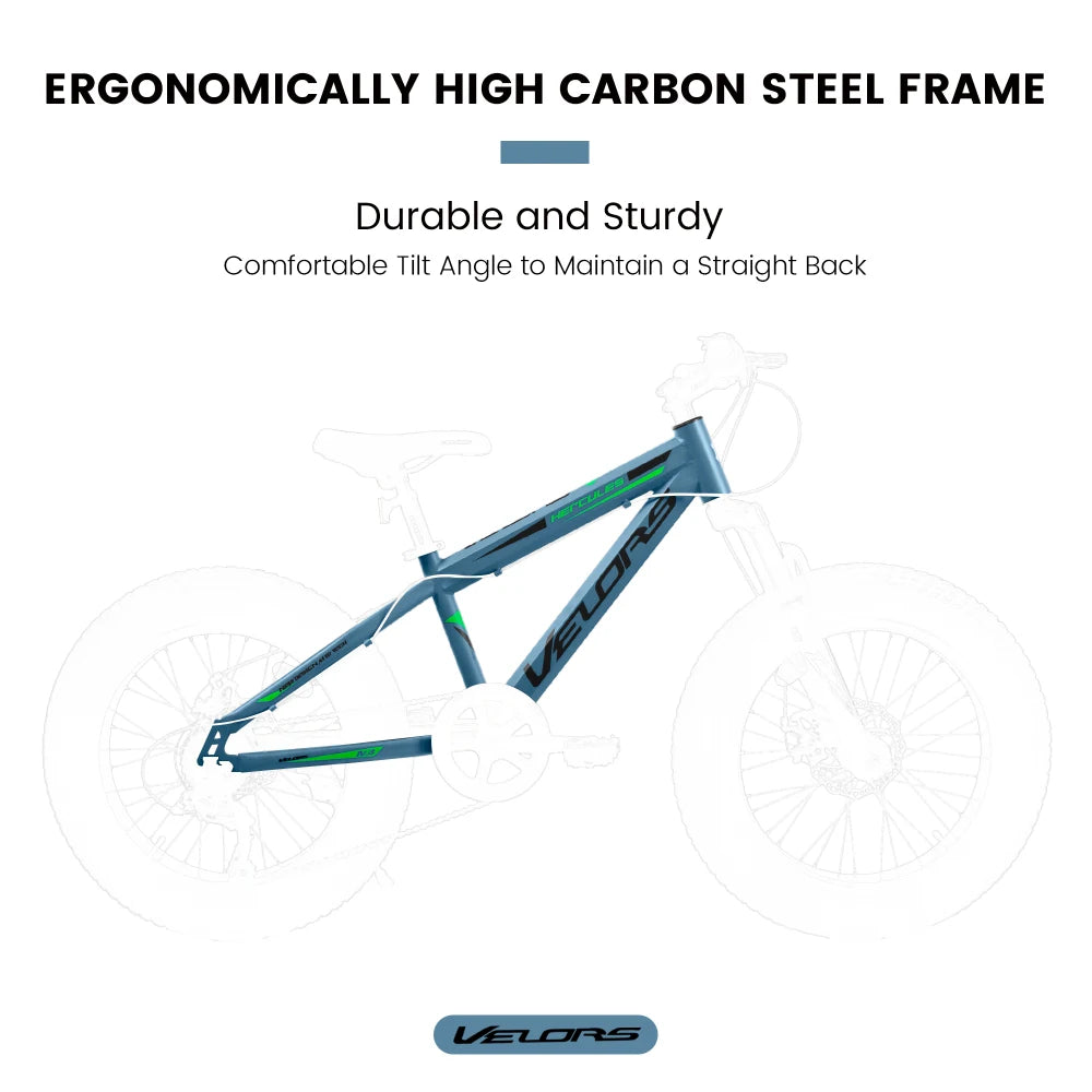 20 Inch Fat Tire Bike Adult 7 Speed