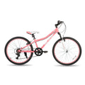 24 Inch Mountain Bike for Kids