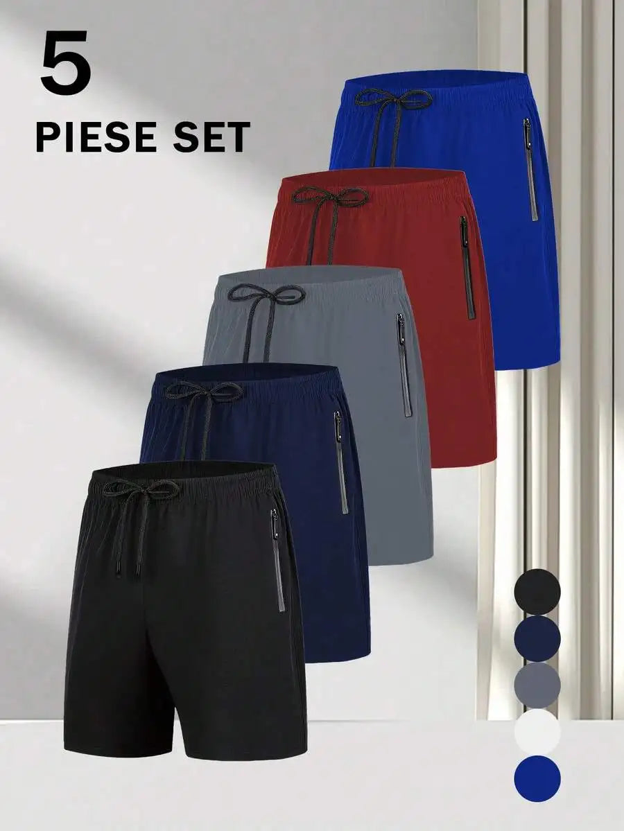 5 Pieces Mens Quick-Dry Shorts