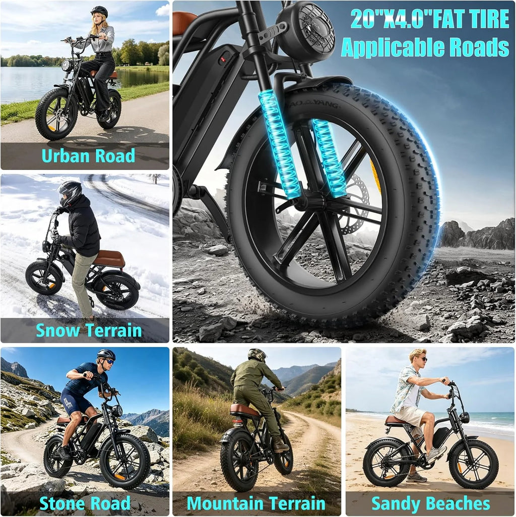 Electric Bicycle 1000W Motor Dual Suspension