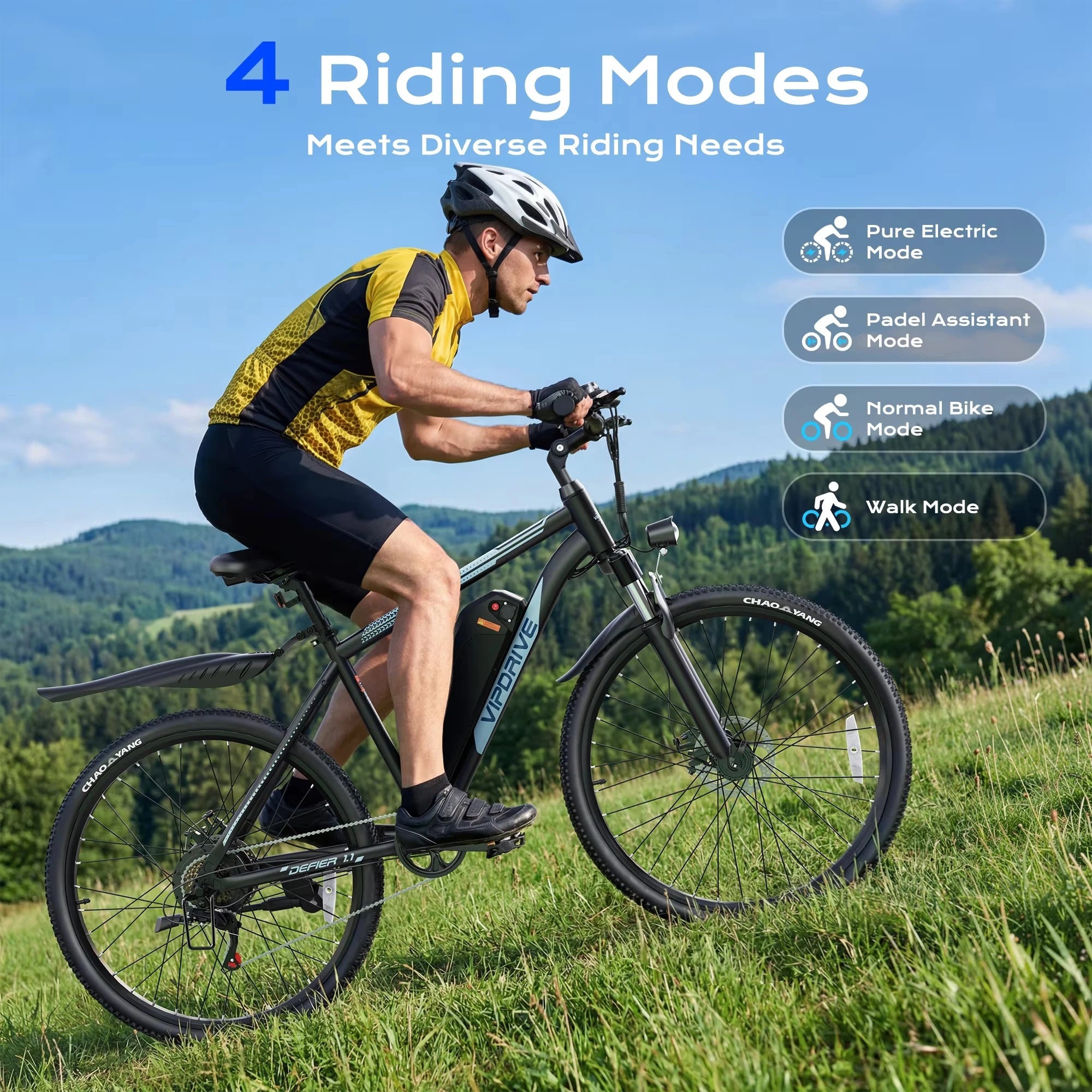 Adult Electric Bike, 750W Peak Motor