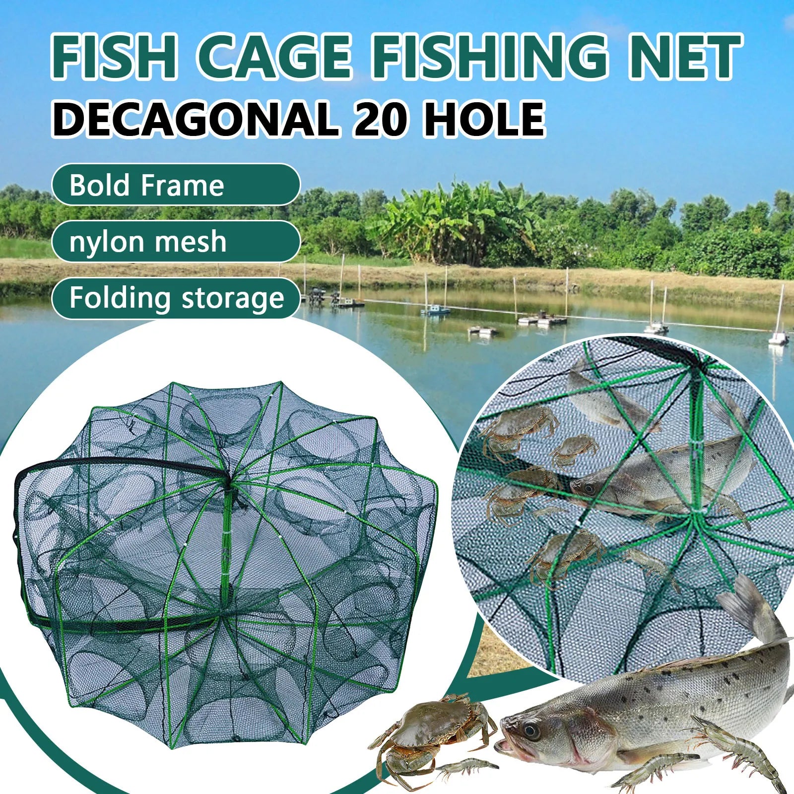 Folding lobster cage  new style