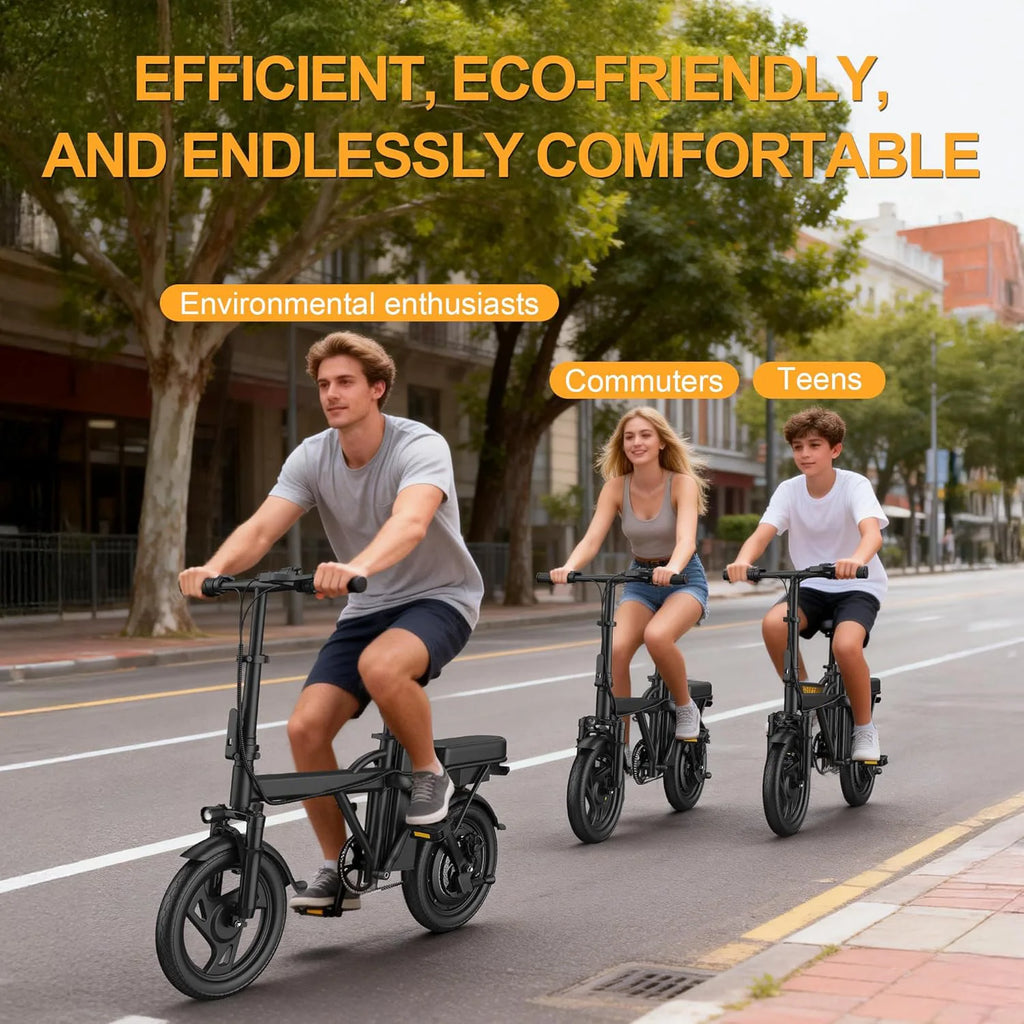 14'' Foldable Electric Bike 500W Motor