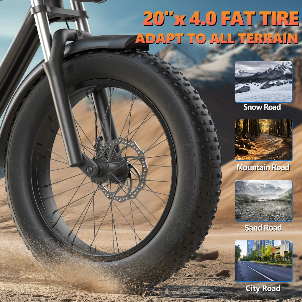 Adult Electric Bicycle 3000w