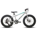 20 Inch Kids' Bicycles Fat Tire Mountain Bike