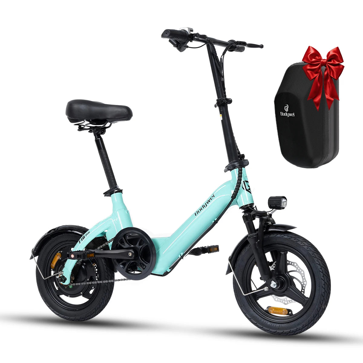 Foldable Electric Bike for Adult 750W Motor