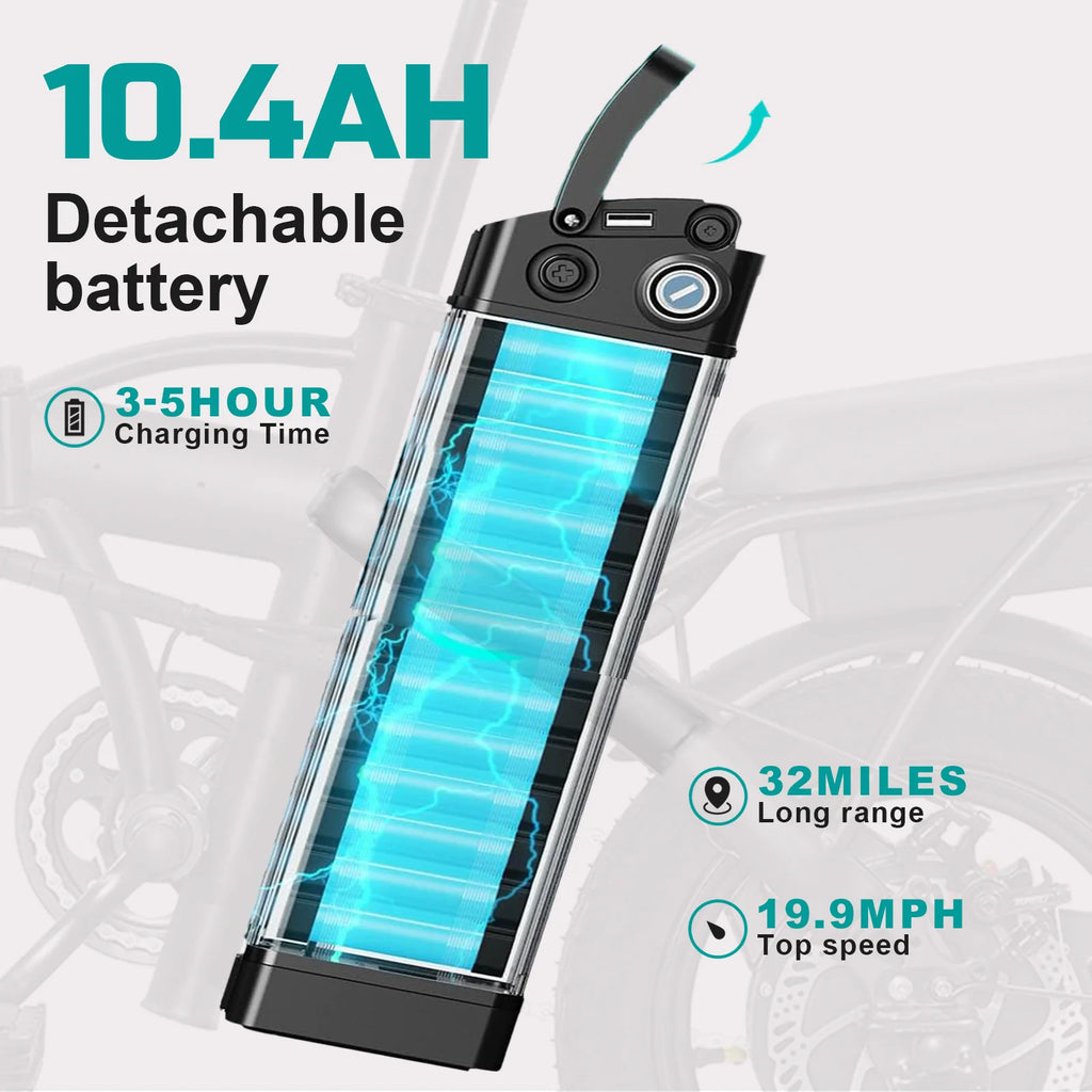 Adult Electric Bike