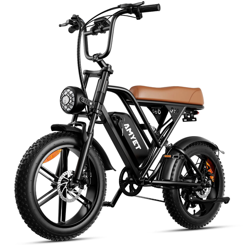 Adults Electric Bike 1000W Motor