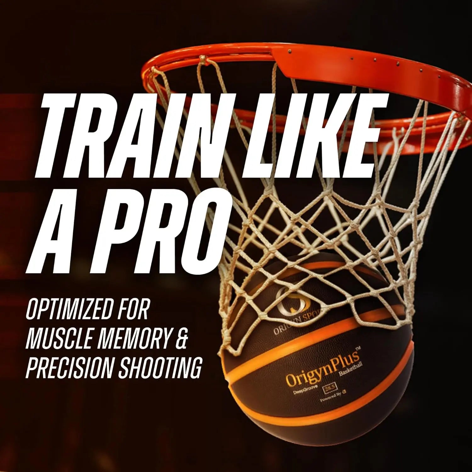 Indoor & Outdoor Basketball