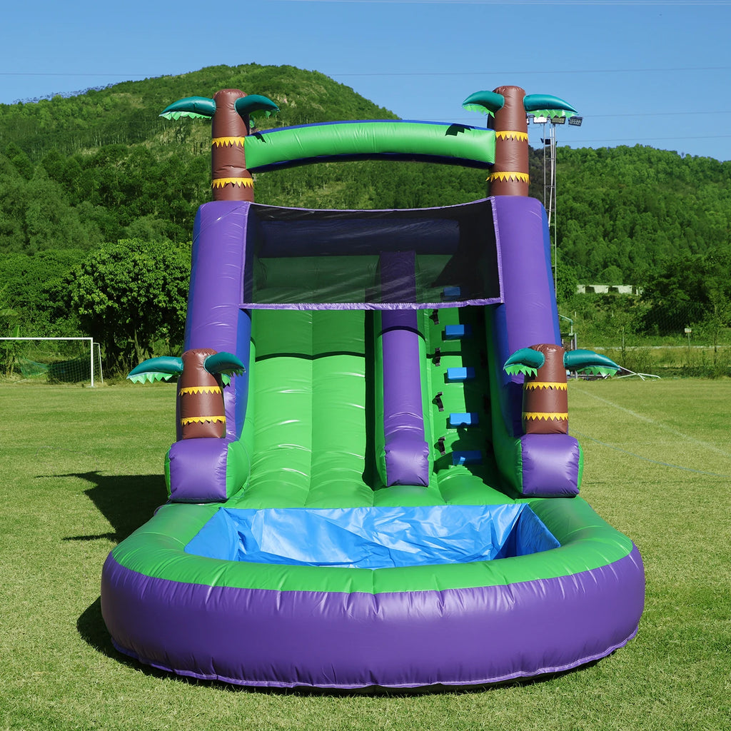 Inflatable Water Slide