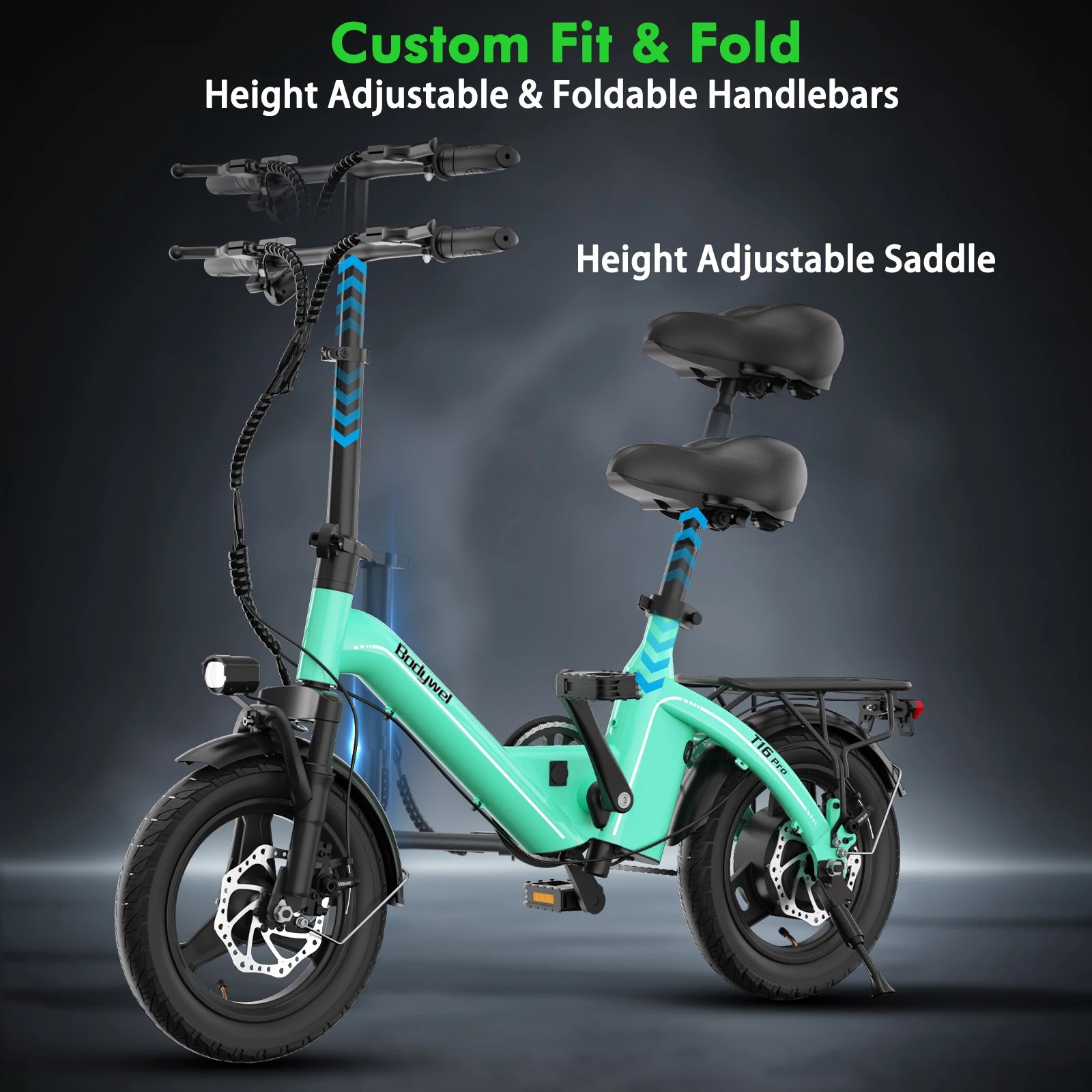 Foldable Electric Bike for Adult 750W Motor