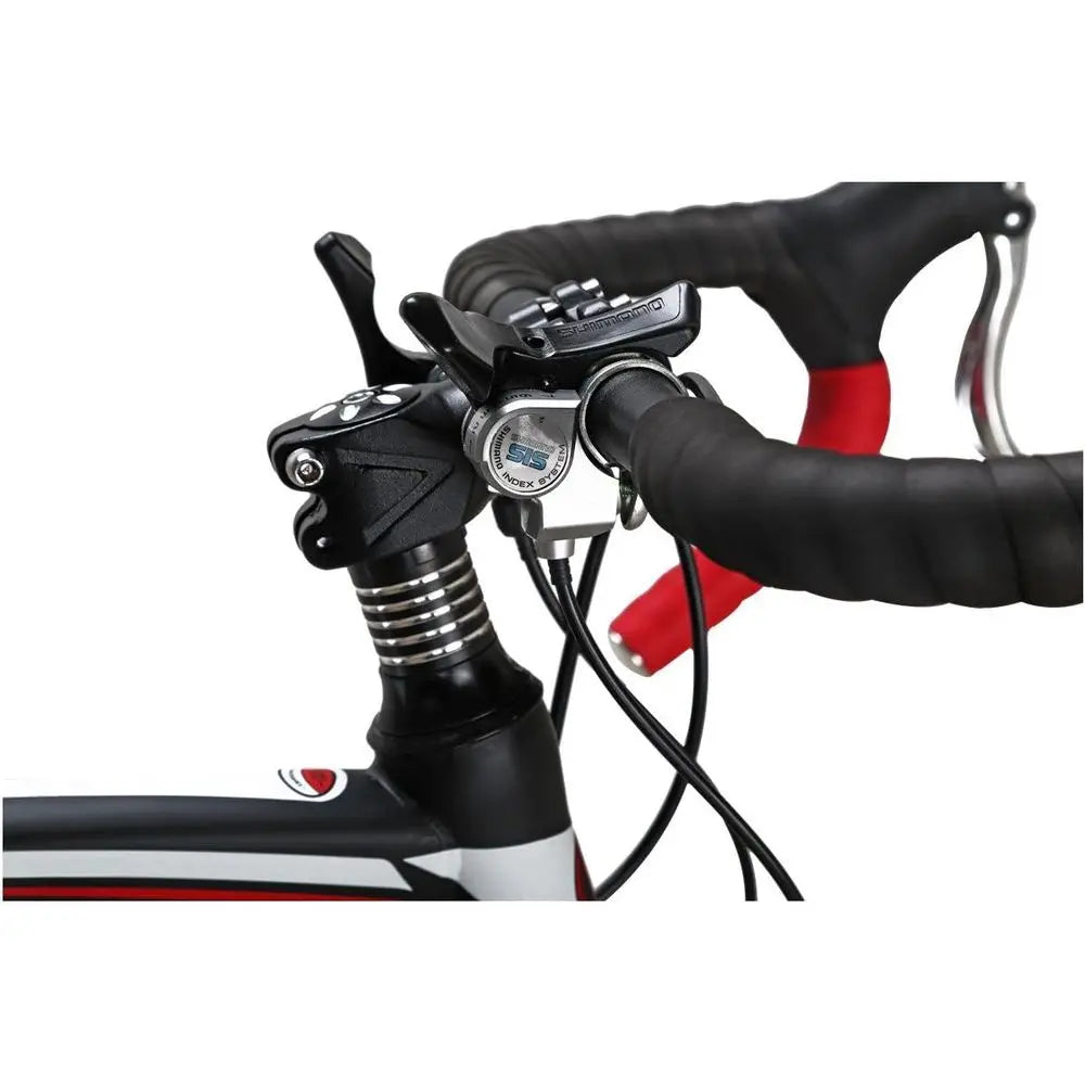 21 Speed Road Bike