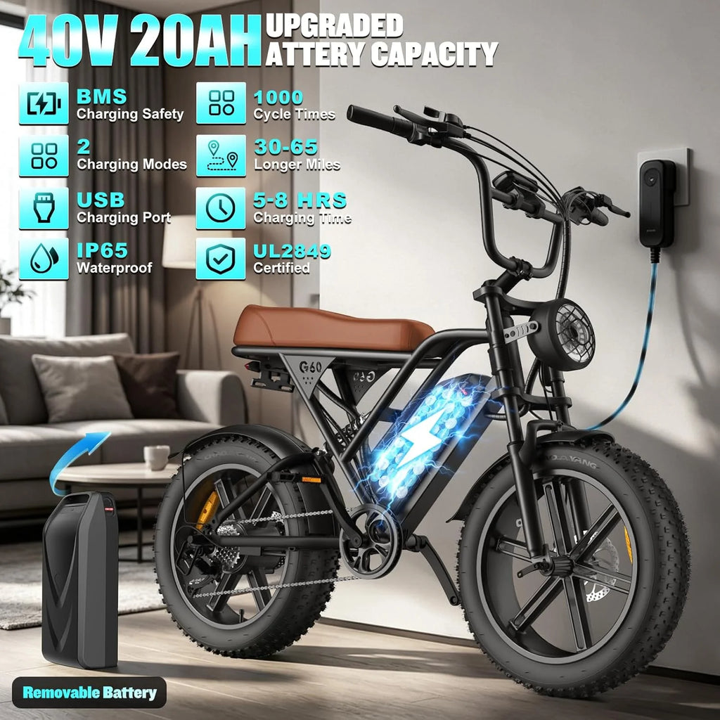 Electric Bicycle 1000W Motor Dual Suspension