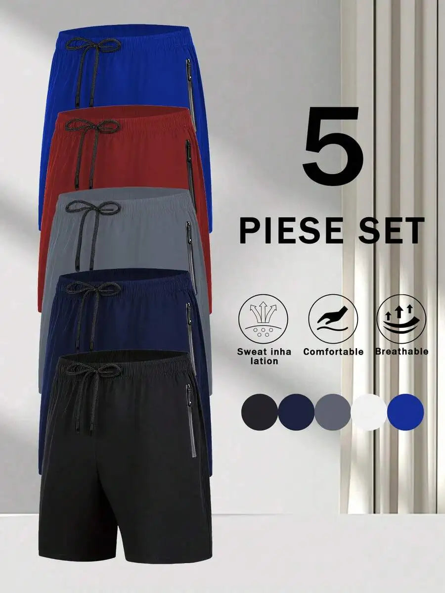 5 Pieces Mens Quick-Dry Shorts